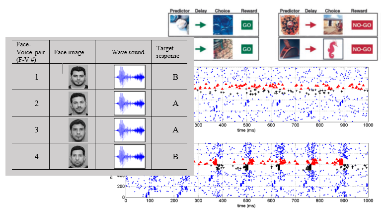 A New Semi-supervised Algorithm in Spatio-Temporal Neural Networks for Sequence of Events Detection